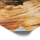 Poster bois texture motif nature ancienne (Coin)