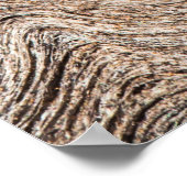 Poster Bois vieux rustique, arrière - plan texturé (Coin)