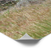 Poster Boise Foothills (Coin)