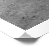 Poster Boisson D'Ours En Alaska 1910 (Coin)