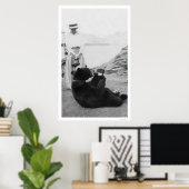 Poster Boisson D'Ours En Alaska 1910 (Bureau à domicile)