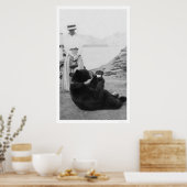 Poster Boisson D'Ours En Alaska 1910 (Cuisine)