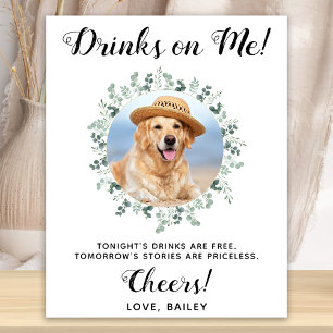 Poster Boissons Offertes Chien Bar Ouvert Photo Mariage A