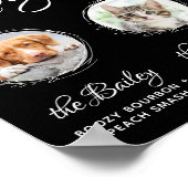 Poster Boissons Signature pour Animaux de Compagnie Bar d (Coin)