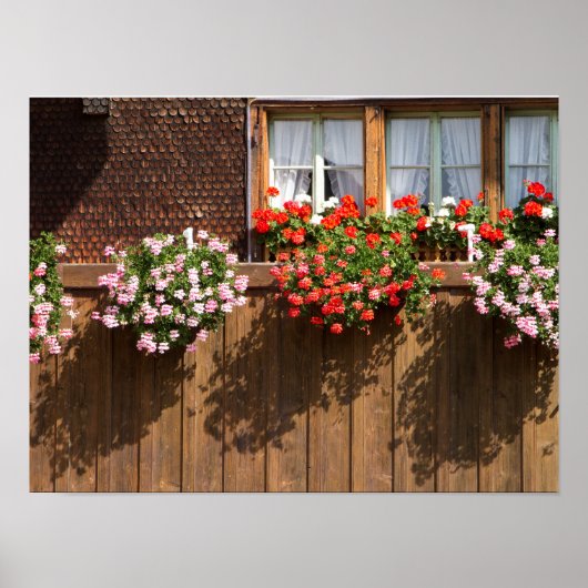 Poster Boîte à fleurs suisse (Devant)
