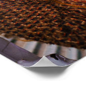 Poster Boîte à musique (Coin)