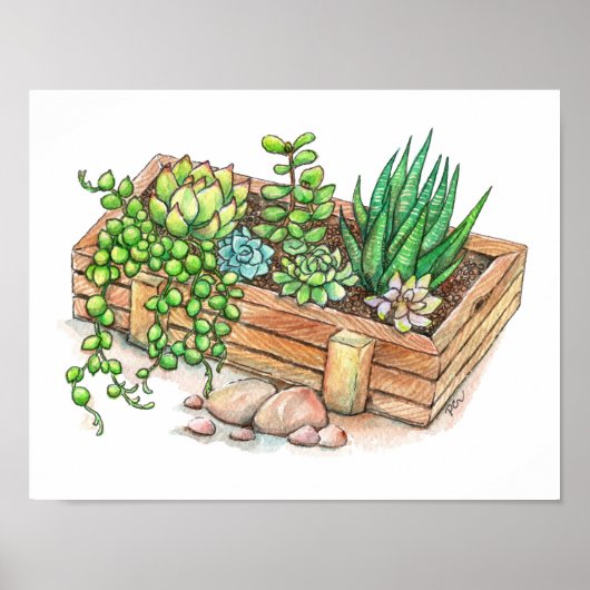 Poster Boîte à planteur succulent (Devant)