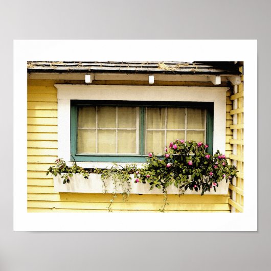 Poster Boîte de fenêtre Avec Fleurs Art Imprimer (Devant)