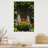 Poster Boîte de fenêtre Géranium rouge (Cuisine)