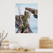 Poster Boîte de visualisation (Cuisine)