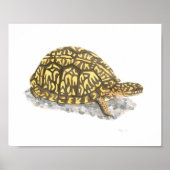 Poster Boîte Est Turtle Art (Devant)