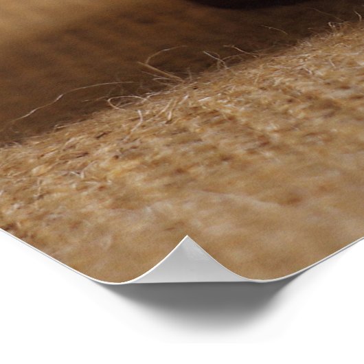 Poster Boîte vintage (Coin)