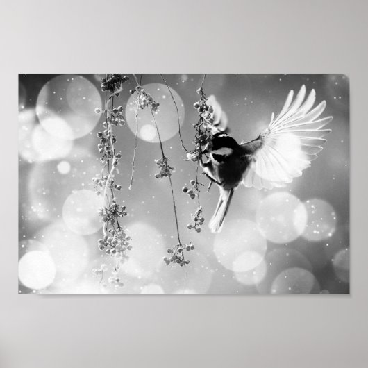 Poster Bokeh Bubbles Flying Hummingbird - B&W (Devant)