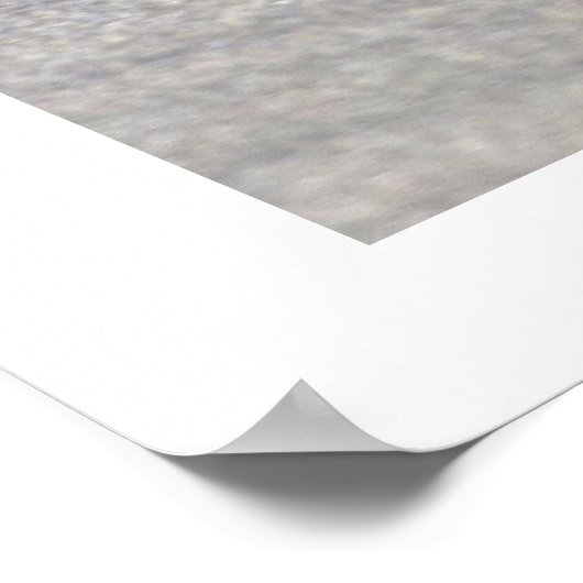 Poster bol à poisson (Coin)