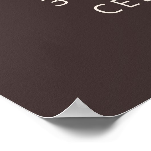 Poster Bold Typography Brown Modern 30th Birthday Welcome (Coin)