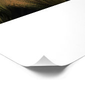 Poster Bolivia (Coin)