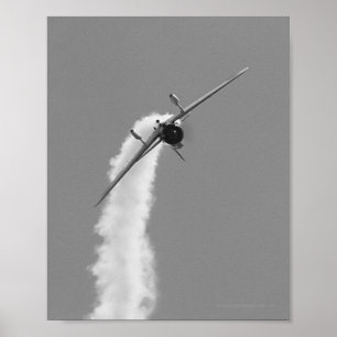 Poster Bombardier de piqué japonais d'Aichi D3A de marine