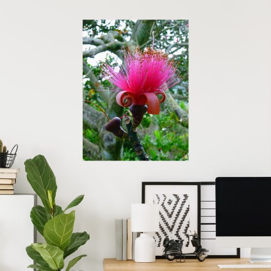 Poster Bombax (Bureau à domicile)