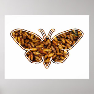 Poster Bombyx Mori Silk Moth Cycle de vie Silhouette