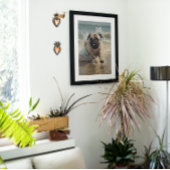 Poster Bon Carlin à la plage