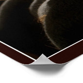 Poster Bon livre (Coin)