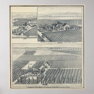 Poster Bonacourt Ranch, Washington Colony, Californie