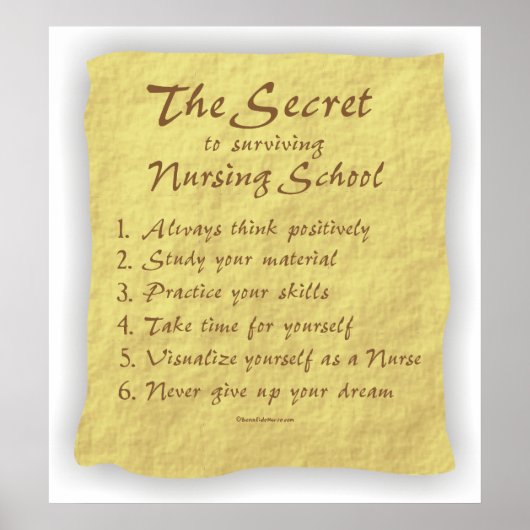 Poster BonafideNurse_-_Secret_to_Surviving_Nursing_School (Devant)