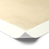 Poster Bonaparte Flycatcher (Coin)