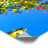 Poster Bonbons couleur Aspen // Couleurs feuille automne (Coin)