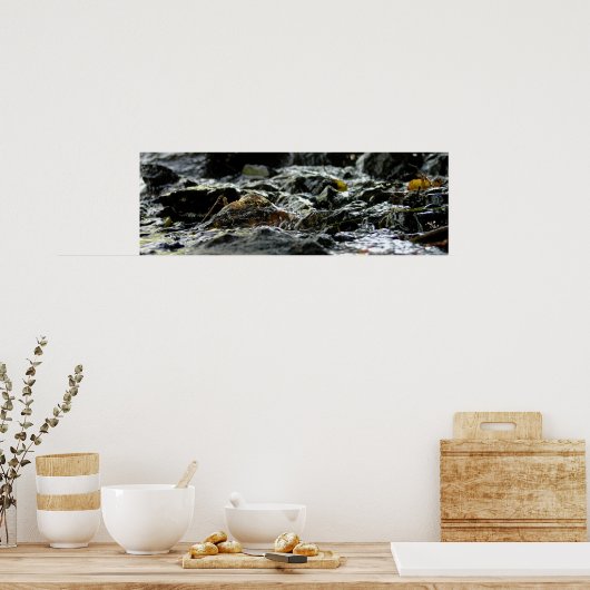 Poster Bond Falls - Upper Peninsula (Cuisine)