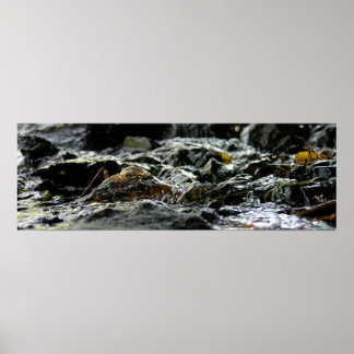 Poster Bond Falls - Upper Peninsula