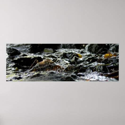 Poster Bond Falls - Upper Peninsula (Devant)