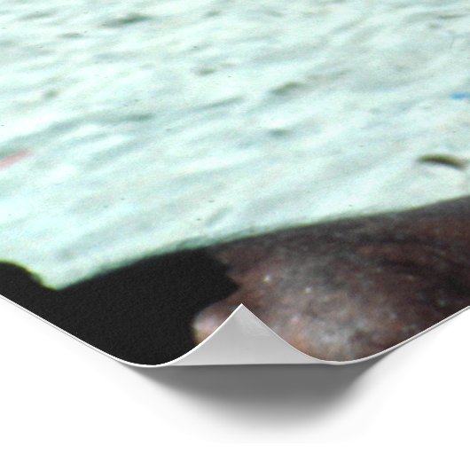 Poster Bondi beach (Coin)