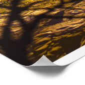 Poster Bone Dance (Coin)