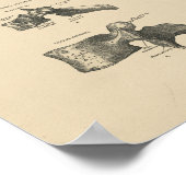 Poster Bones vertébrales vintages 1880 Imprimer (Coin)
