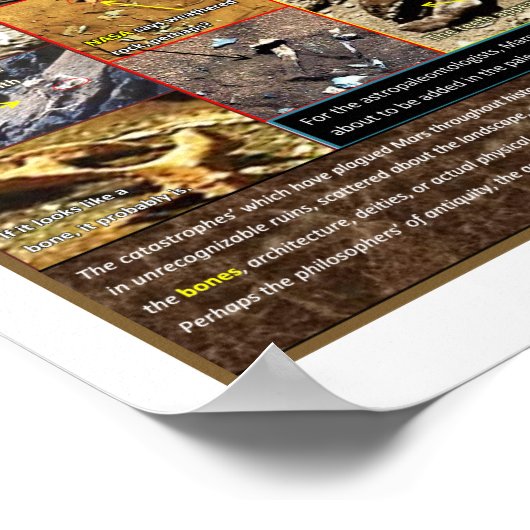 Poster Boneyard de Mar (Coin)