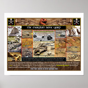 Poster Boneyard de Mar