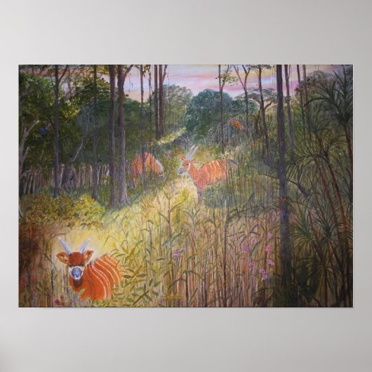 Poster Bongo Antelopes (Devant)