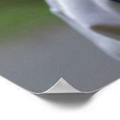 Poster Bonheur (Coin)