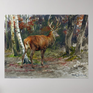 Poster Bonheur - Cerf en vedette