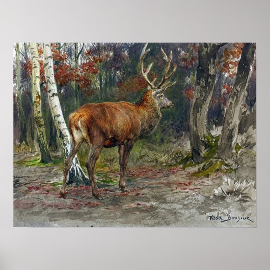 Poster Bonheur - Cerf en vedette (Devant)