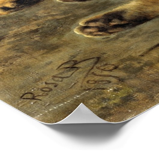 Poster Bonheur - Chat sauvage (Coin)