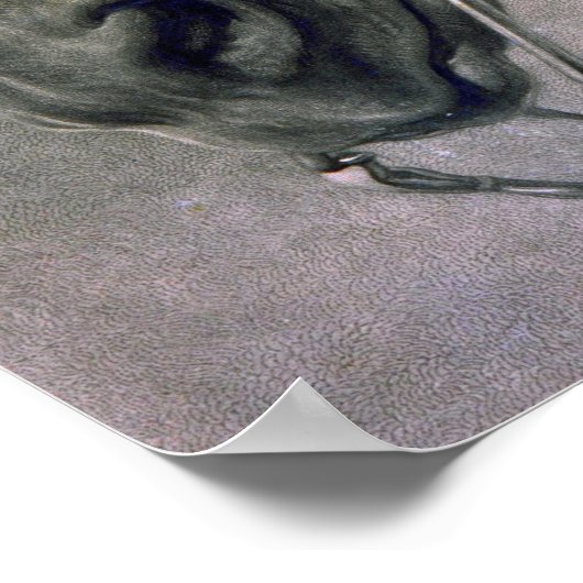 Poster Bonheur - Chef D'Un Cheval (Coin)