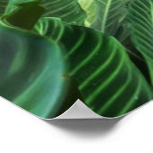 Poster Bonheur de la nature (Coin)