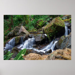 Poster Bonheur de la nature