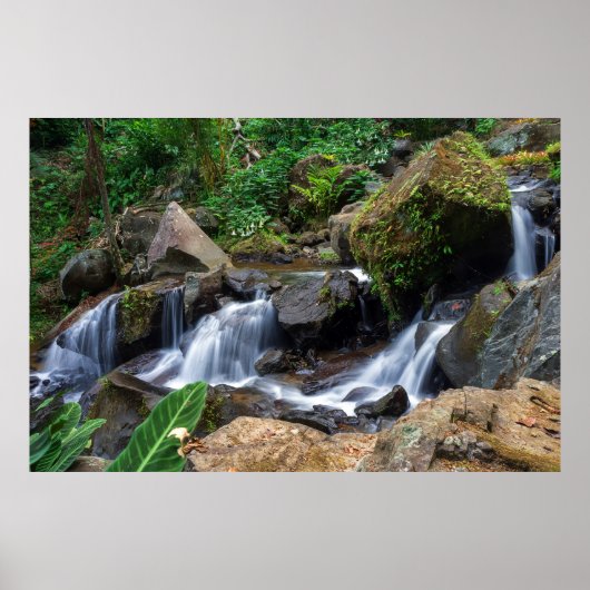 Poster Bonheur de la nature (Devant)
