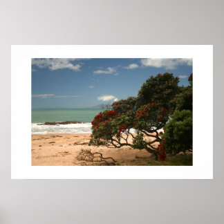 Poster Bonheur de la plage - Arbre Pohutukawa