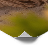 Poster Bonheur de l'heure dorée (Coin)