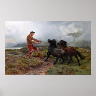 Poster Bonheur - Ghillie Shetland Ponies Dans un paysage