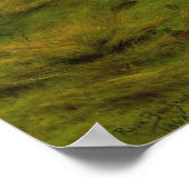 Poster Bonheur - Le Monarque Du Pack (Coin)